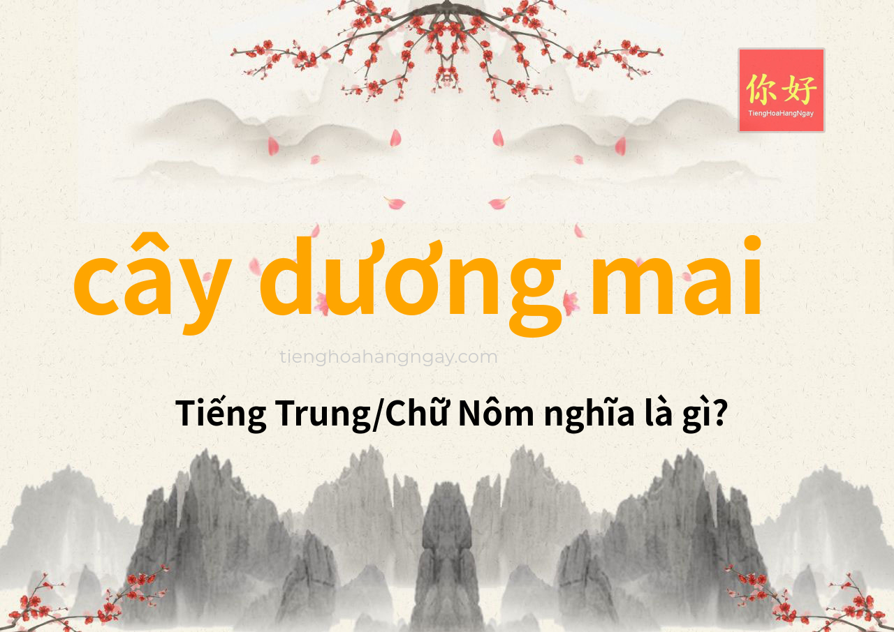 cây dương mai tiếng Trung là gì?